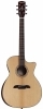Alvarez AG 60 CE LR AR Alvarez AG 60 CE LR AR